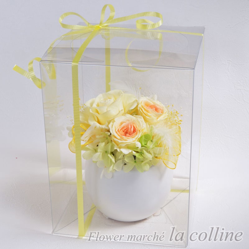 �Ҥ褳�ڥץꥶ���֥ɥե�����󥸡�