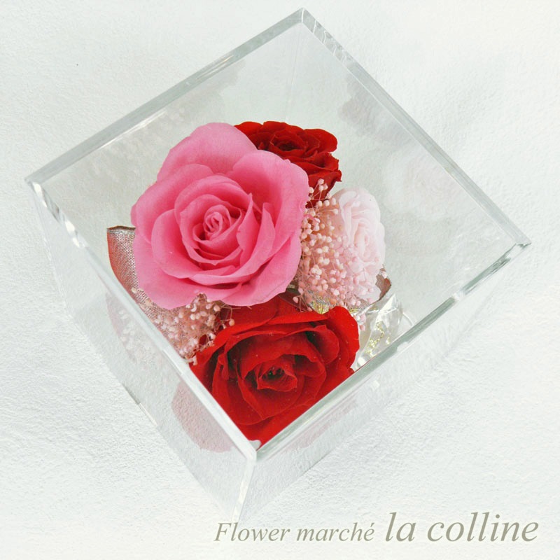 ֡ȥɥ󥰤Υ塼֡ʥåɡˡڥץꥶ֥ɥե󥸡