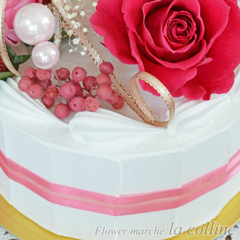 �ۡ���ǥ��졼����󥱡����ʥե��ܥ���ˡڥץꥶ���֥ɥե�����󥸡�