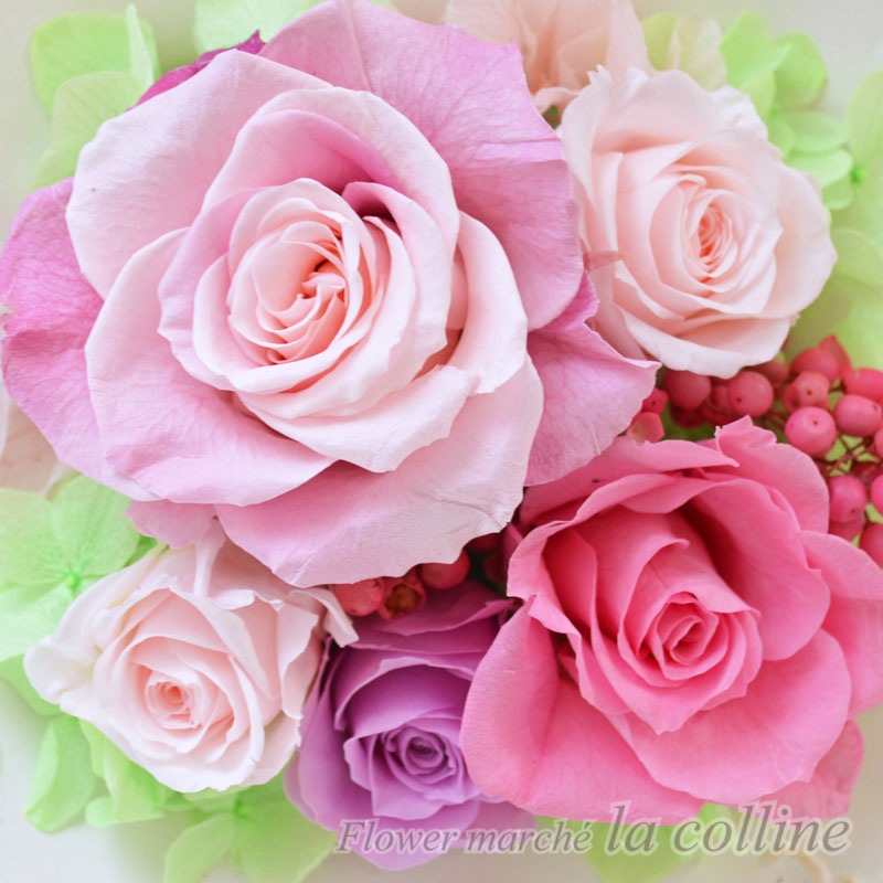 ƫ��Υե졼�ॢ��󥸡ʥԥ󥯥ե��ߥ˥�������ˡڥץꥶ���֥ɥե�����󥸡�