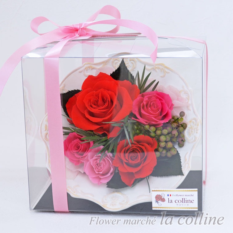 ƫ��Υե졼�ॢ��󥸡ʥ��쥬��ȥ������ˡڥץꥶ���֥ɥե�����󥸡�