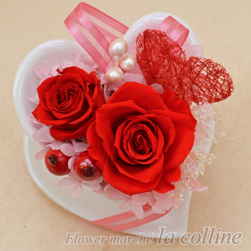 �ϡ��ȥ��åסʥ�åɡˡڥץꥶ���֥ɥե�����󥸡�