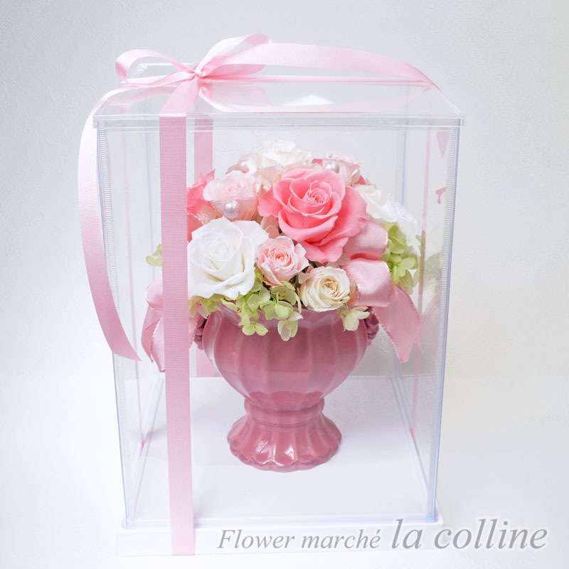 ���������ȥ����ڥץꥶ���֥ɥե�����󥸡�