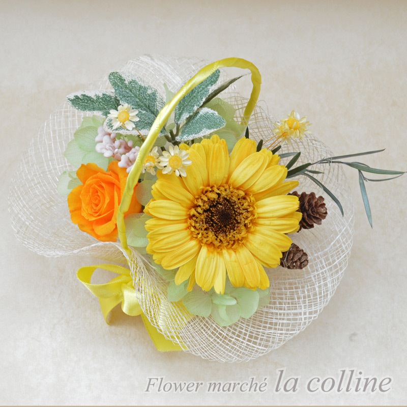 ٥ΥХåȡڥץꥶ֥ɥե󥸡