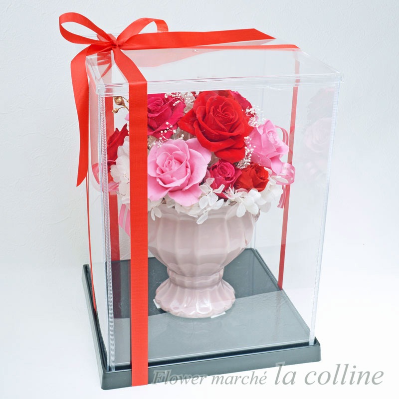 ���쥬��ȥ����ڥץꥶ���֥ɥե�����󥸡�