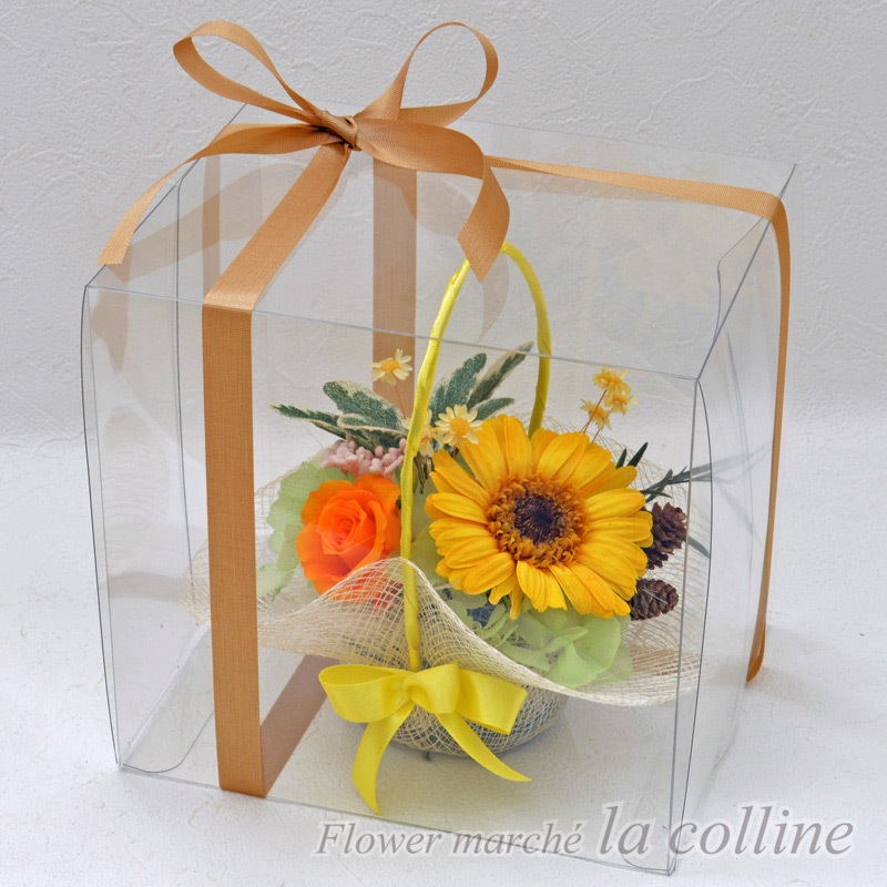 ٥ΥХåȡڥץꥶ֥ɥե󥸡