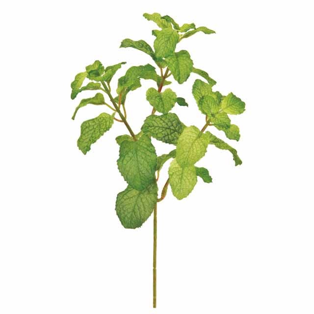 �ڥѡ��ߥ�ȡ����꡼������Ʋ��FG006100-024, FG6100�ˡڥ����ƥ��ե������ե��ʹ��¤�֡ˡ�