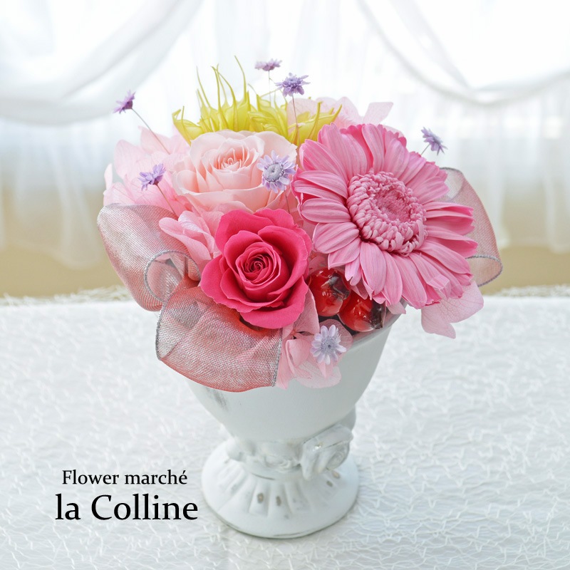 ԥ󥯥٥Υޥƥå󥸡ڥץꥶ֥ɥե󥸡