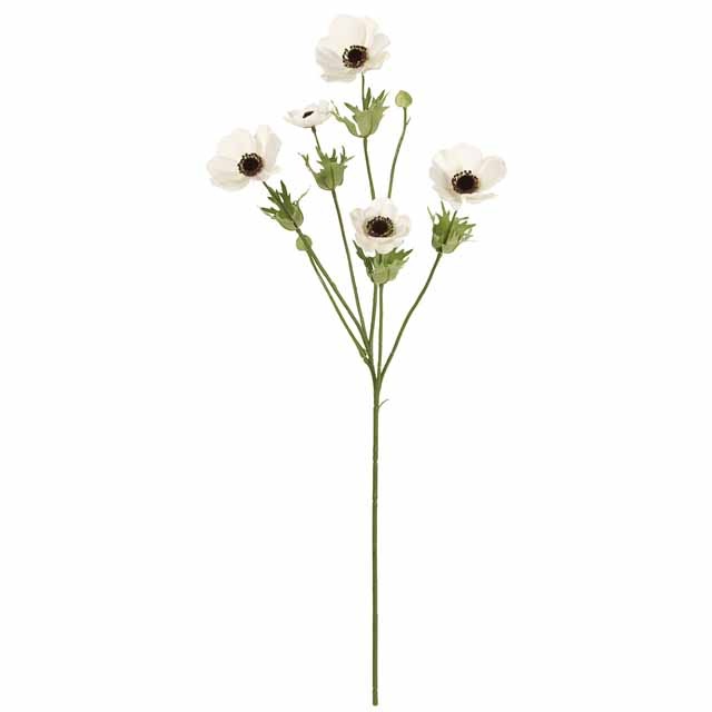 �֥꡼�����ͥ�ͥ��ץ졼���ۥ磻�ȡ����Ʋ��FM004186-001, FM4186�ˡڥ����ƥ��ե������ե��ʹ��¤�֡ˡ�