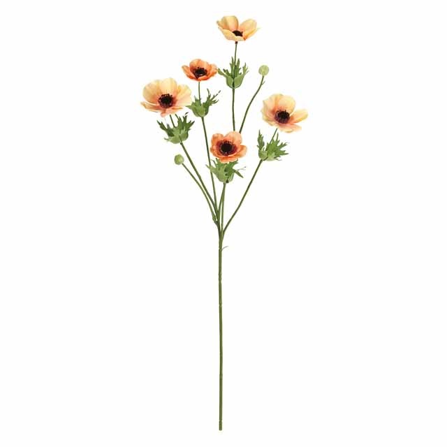 �֥꡼�����ͥ�ͥ��ץ졼���ԡ��������Ʋ��FM004186-006, FM4186�ˡڥ����ƥ��ե������ե��ʹ��¤�֡ˡ�