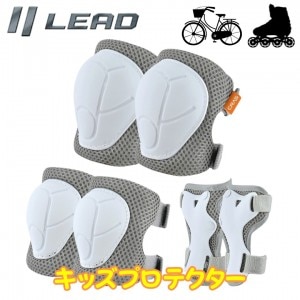 LEAD MOTORCYCLE GEAR(�꡼�ɹ���)���å��ץ��ƥ����� CA-02 �Ҥɤ����ݸ�� ɨ���� ɪ���� ��ž������ ���ؼ� ���� �������� ����������