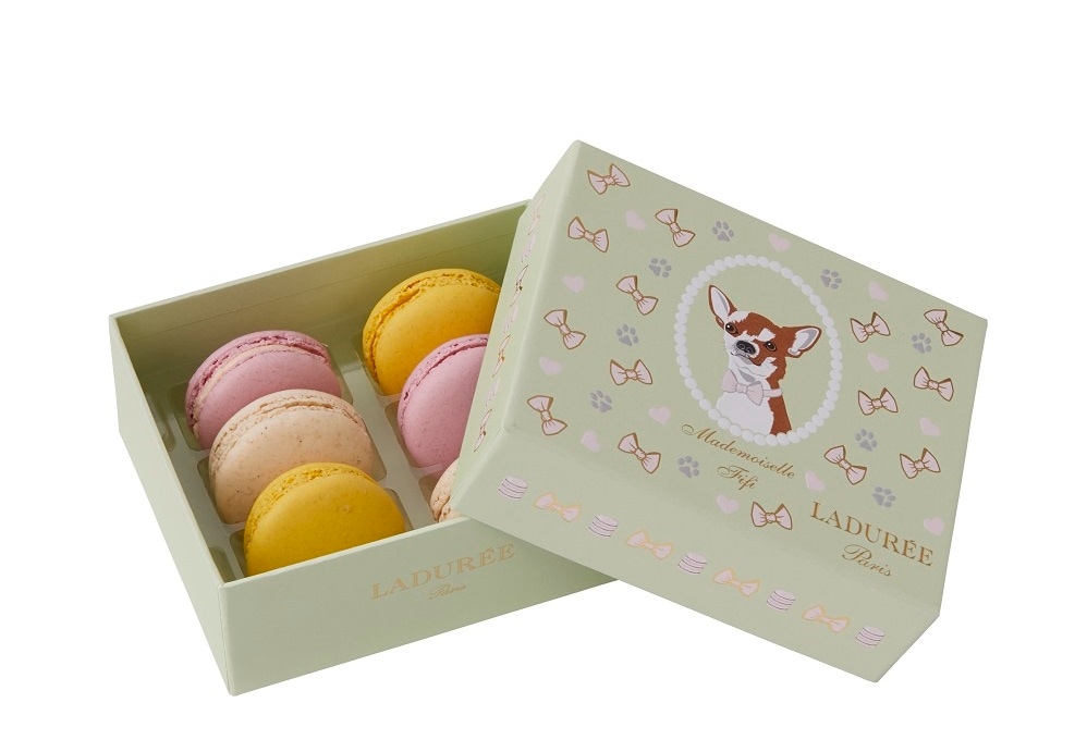 ラデュレ 便箋 封筒 レターボックス マカロンシール - 通販 - toptelha