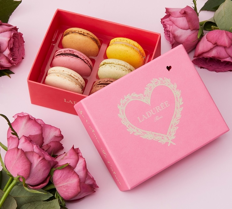 LADUREE チーク 6周年 限定 オウム キバタン LADUREE チーク 6周年 限定 オウム キバタン