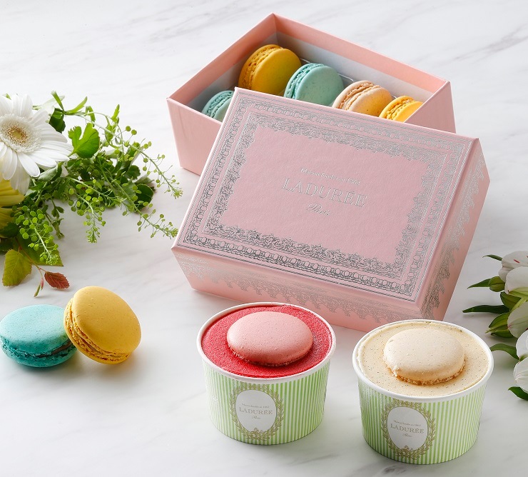 ラデュレ 陶器ポット花限定