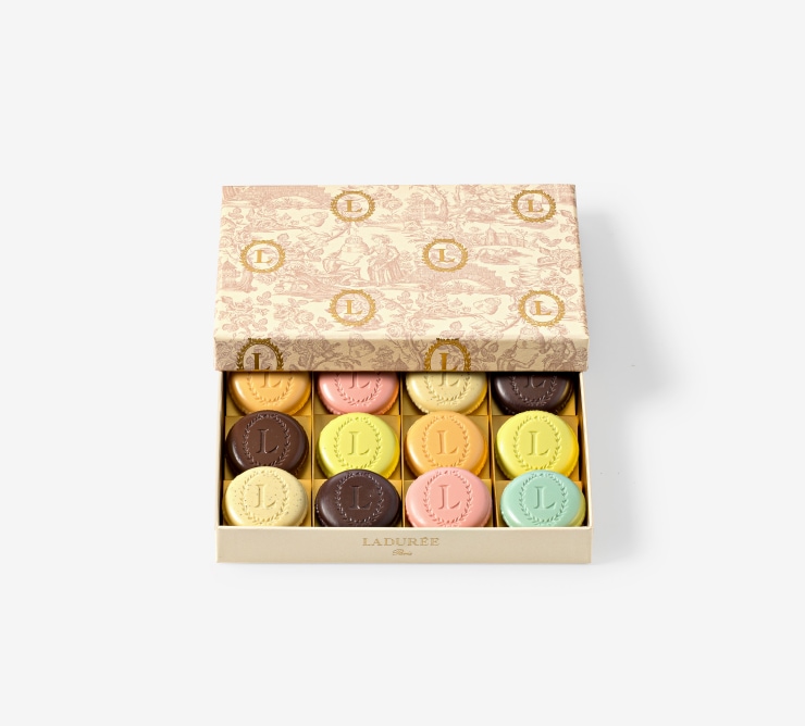 ローズ・プードレ ウジェニー12個入り　