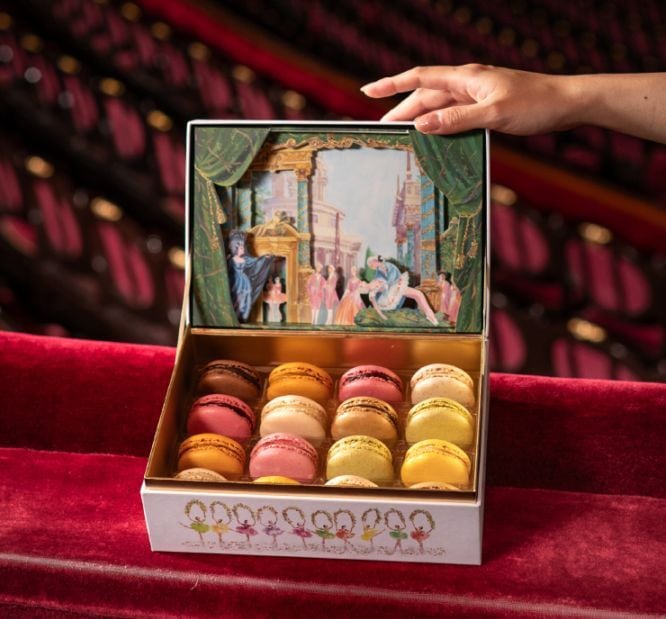 パリ・オペラ座 ー 眠れる森の美女 マカロン16個入り