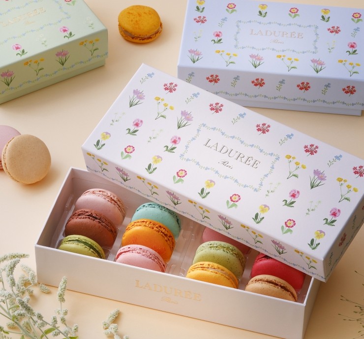 特別なギフトに！】 トレジャーボックス スペシャルアソート