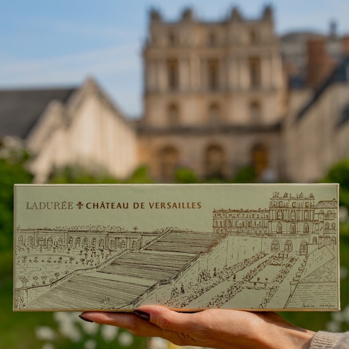 【送料無料】シャトー・ド・ヴェルサイユ マカロン15個入り