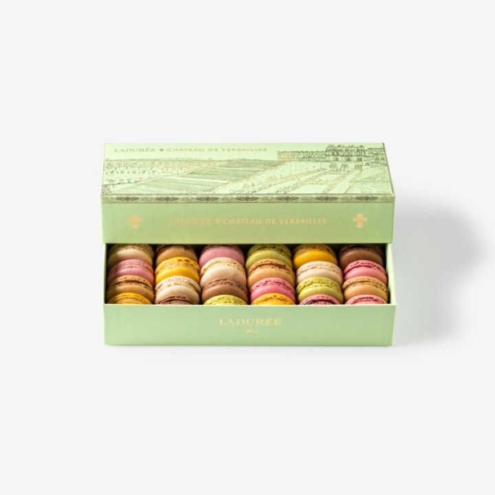 【送料無料】シャトー・ド・ヴェルサイユ マカロン15個入り