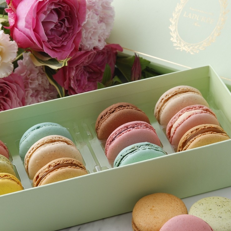 アンタンポレル マカロン12個入り