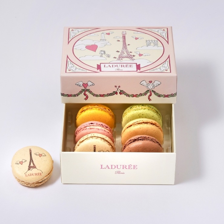 アムール・ド・パリ マカロン6個入り ｜ラデュレ｜マカロン発祥の