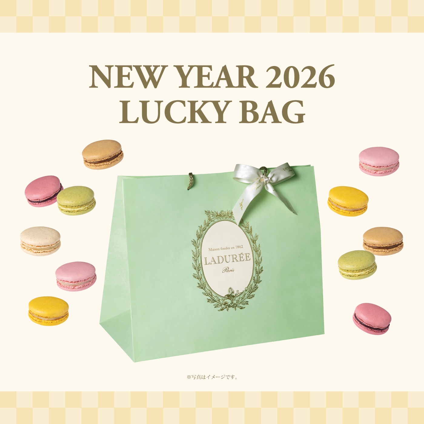 ラデュレ 紅茶セット【廃盤】 ラデュレ“生命の樹”を表現した食器や蝶＆草花モチーフのマカロン