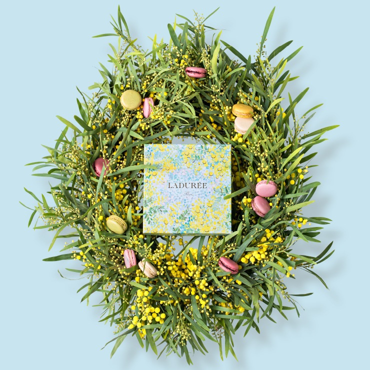 ミモザ マカロン18個入り