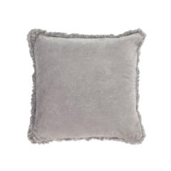 CEDELLA ���å���󥫥С�