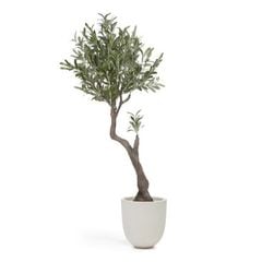 OLIVO �����ƥ��ե������ץ��ġ�H140��