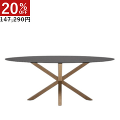 ��Ÿ���ʻ��ѡ�ARGO ���饹�ơ��֥롡(��200��100)