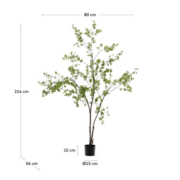 ENKIANTHUS �����ƥ��ե������ץ��ġ�H214��