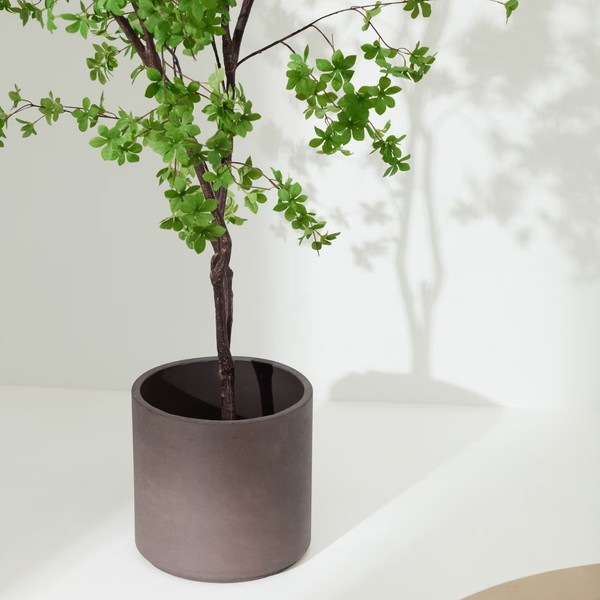 ENKIANTHUS �����ƥ��ե������ץ��ġ�H214��