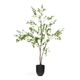 ENKIANTHUS �����ƥ��ե������ץ��ġ�H214��