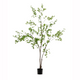 ENKIANTHUS �����ƥ��ե������ץ��ġ�H214��