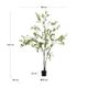 ENKIANTHUS �����ƥ��ե������ץ��ġ�H214��