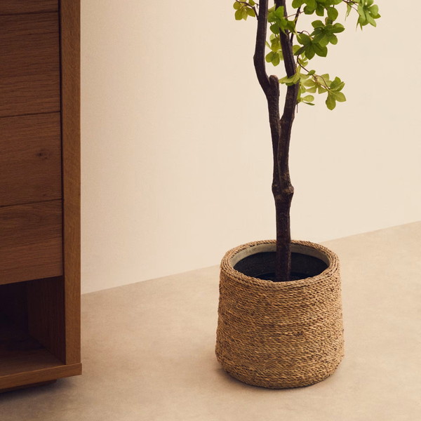 SIGAL �ץ�󥿡��ʦ�35/26��