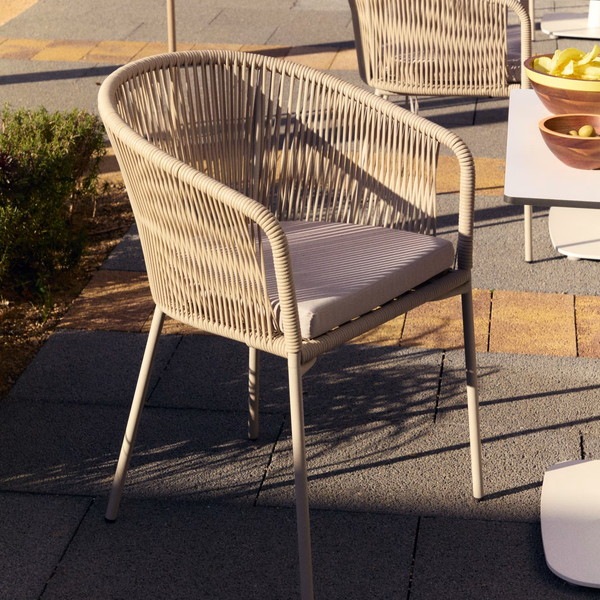 YANET ������