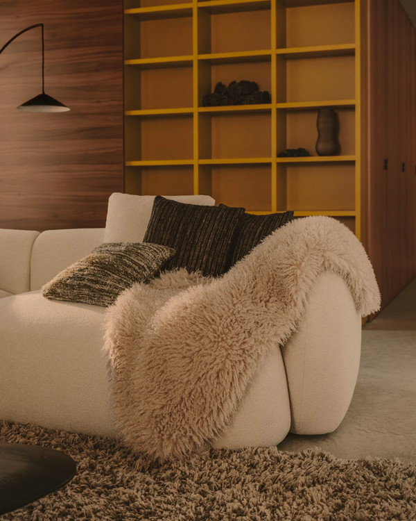 ANIR ���å���󥫥С�