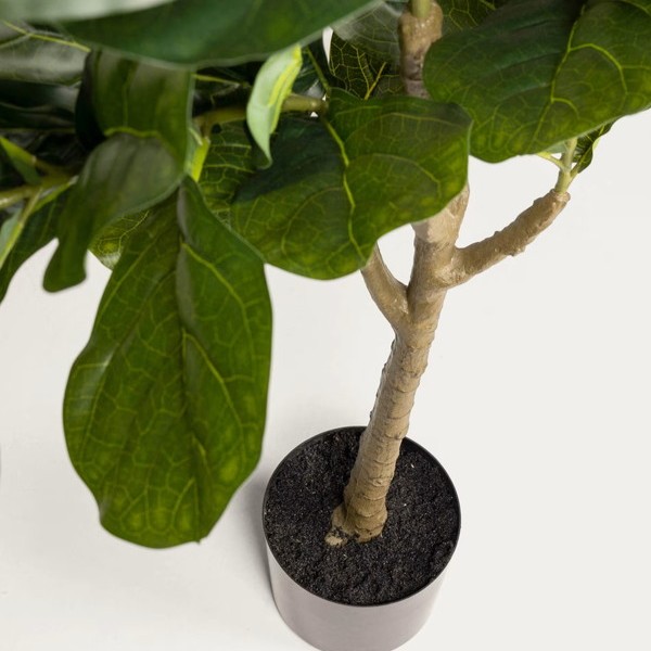FICUS �����ƥ��ե������ץ��ġ�H150��
