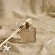 1/SOFT JASMIN �ǥ��ե塼������100ml��