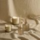 1/SOFT JASMIN �ǥ��ե塼������100ml��