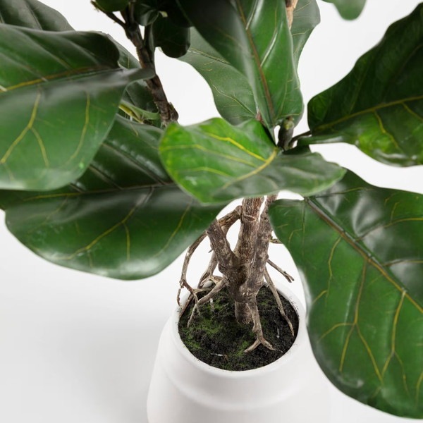 LYRATA �����ƥ��ե������ץ��ġ�H60��