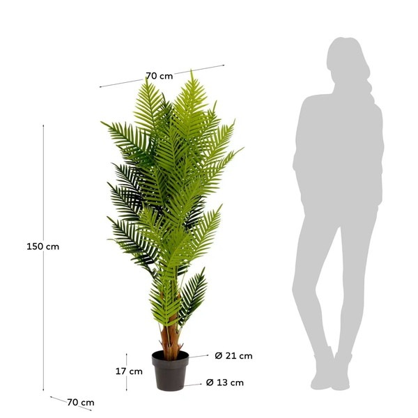 PALMERA fernpalm �����ƥ��ե������ץ��ġ�H150��