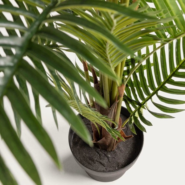 PALMERA fernpalm �����ƥ��ե������ץ��ġ�H150��