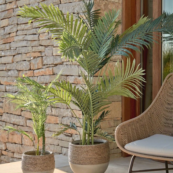 PALMERA fernpalm �����ƥ��ե������ץ��ġ�H150��