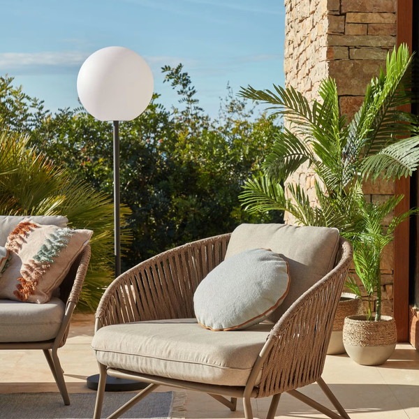 PALMERA fernpalm �����ƥ��ե������ץ��ġ�H150��