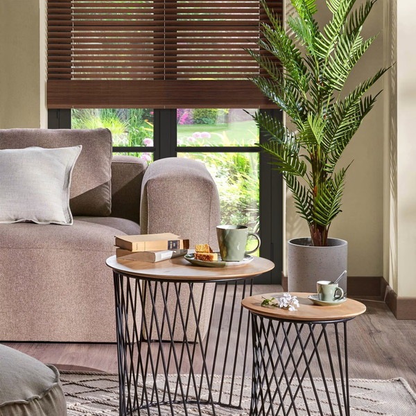 PALMERA fernpalm �����ƥ��ե������ץ��ġ�H150��