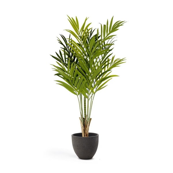 PALMERA bamboo palm �����ƥ��ե������ץ��ġ�H179��