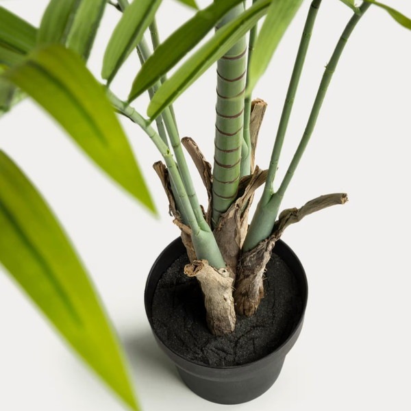PALMERA bamboo palm �����ƥ��ե������ץ��ġ�H179��