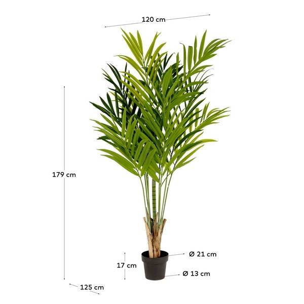 PALMERA bamboo palm �����ƥ��ե������ץ��ġ�H179��